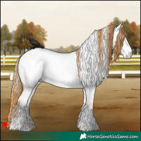 Horse Color:White Spotted Bay Pearl Dun Near Fewspot 