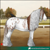 Horse Color:White Spotted Red Roan Splash Blanket 