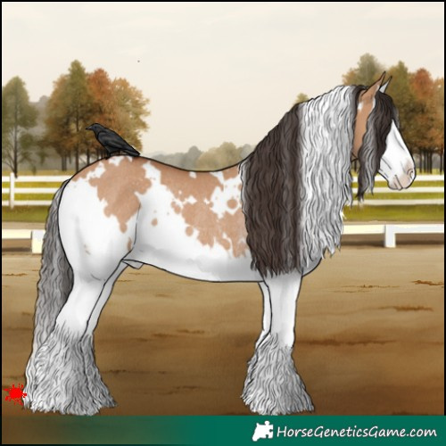 Horse Color:White Spotted Bay Dun Splash Rabicano 