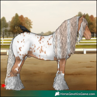 Horse Color:White Spotted Chestnut Near Leopard 