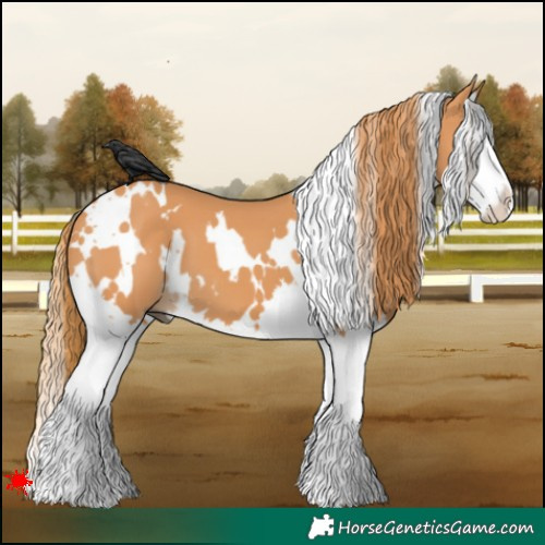 Horse Color:White Spotted Chestnut Splash 