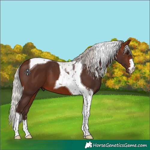 Horse Color:Silver Brown Tobiano