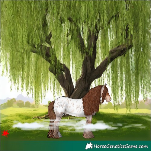 Horse Color:Red Roan Blanket 
