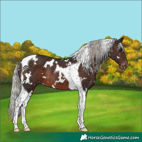 Horse Color:White Spotted Silver Brown Tobiano Skewed LP Spotted Rabicano 
