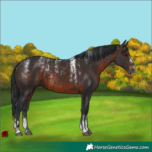 Horse Color:Powder White Brown and Powder White Brown