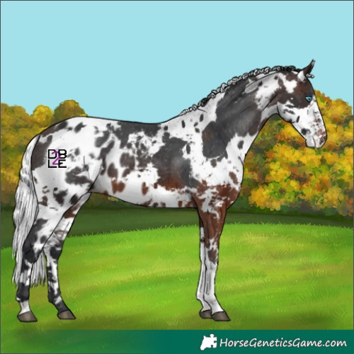 Horse Color:Brown Harlequin Merle Tobiano Skewed LP Spotted