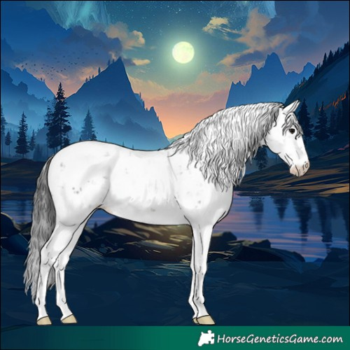 Horse Color:Black Sabino 