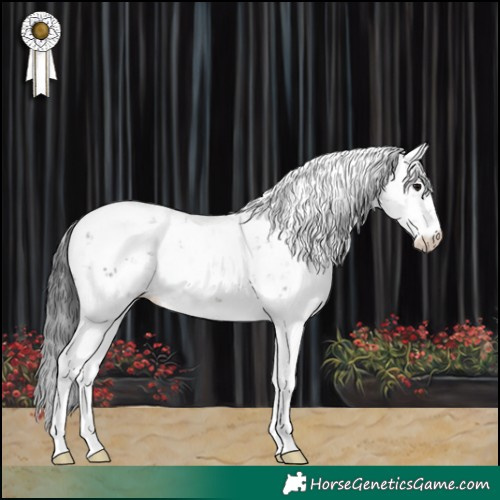 Horse Color:Black Sabino 