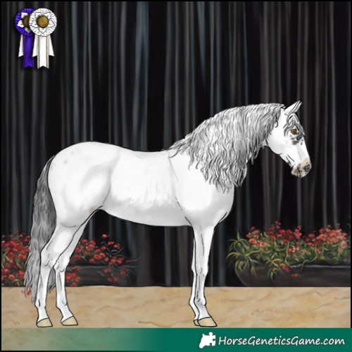 Horse Color:Black Sabino Frame Blanket 