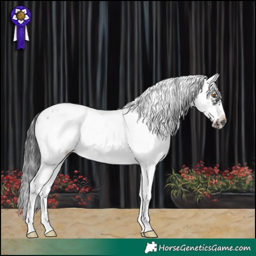 Horse Color:Black Sabino Frame Appaloosa 