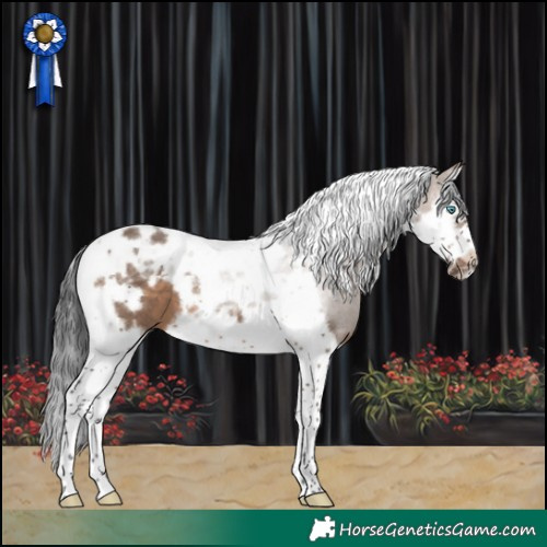 Horse Color:Brown Dun Splash Tobiano Frame 