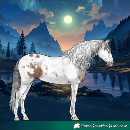 Horse Color:Brown Dun Splash Tobiano Frame 