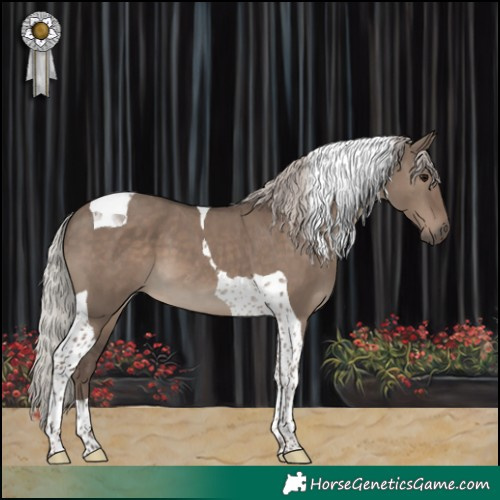 Horse Color:Silver Grullo Tobiano