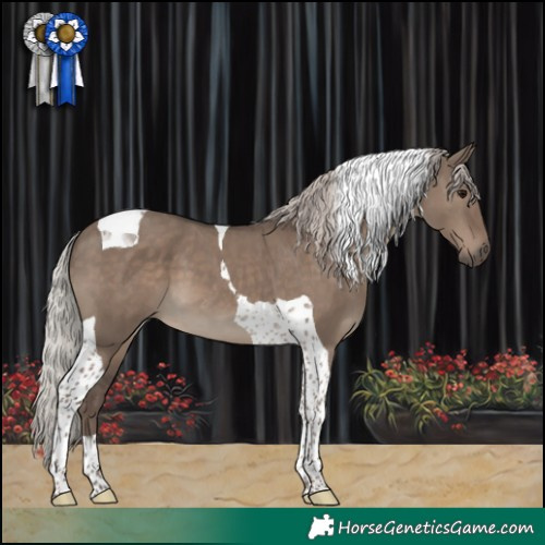 Horse Color:Silver Grullo Tobiano 