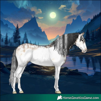 Horse Color:Brown Onyx Sabino Frame Rabicano 