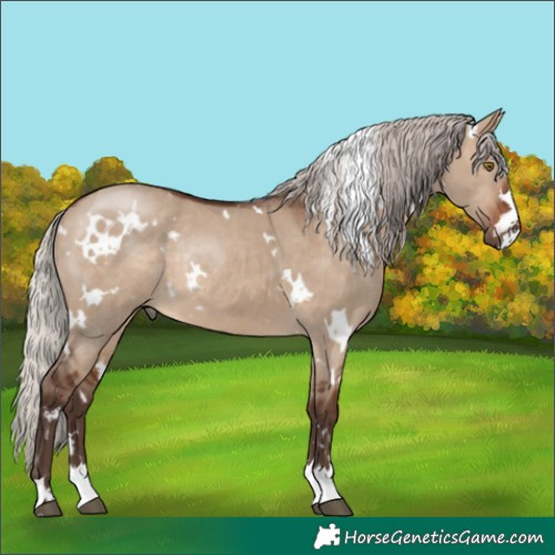 Horse Color:White Spotted Silver Brown Dun Rabicano