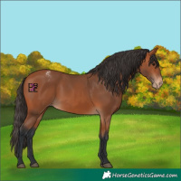 Horse Color:Bay Varnish 