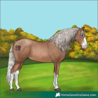 Horse Color:Silver Brown Pearl Splash