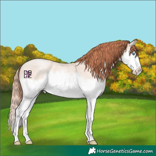 Horse Color:Sable Champagne Roan Pearl Splash Rabicano 