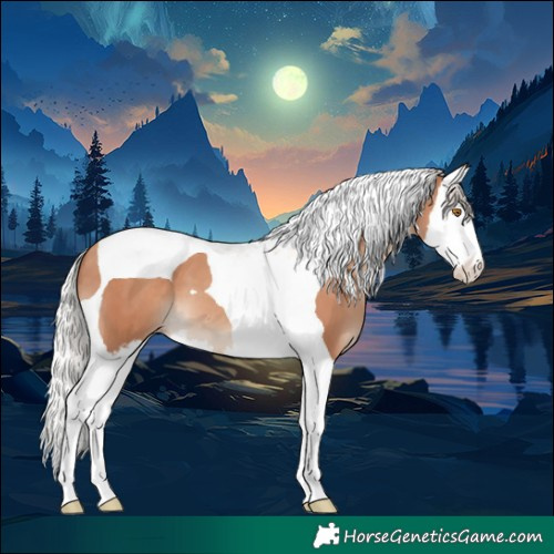 Horse Color:Silver Classic Champagne Splash Tobiano 
