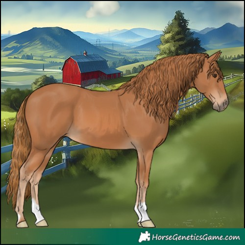 Horse Color:Chestnut 