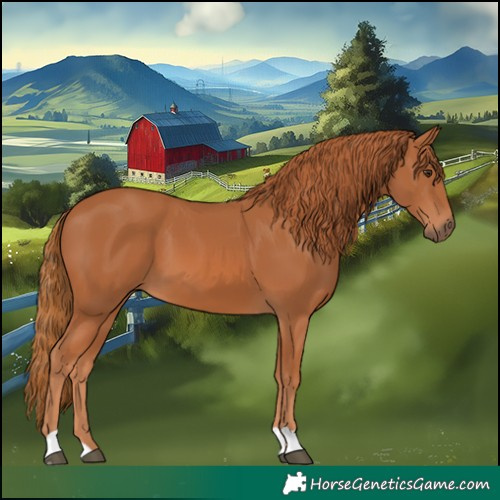 Horse Color:Chestnut 