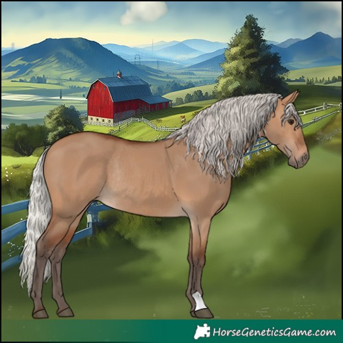 Horse Color:Silver Brown Dun Rabicano 