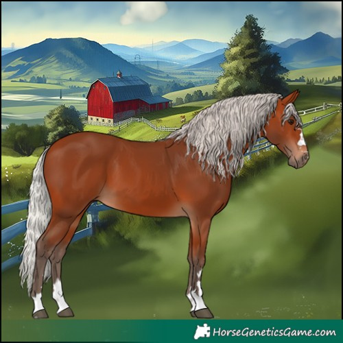 Horse Color:Silver Bay 