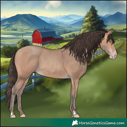 Horse Color:Amber Champagne 