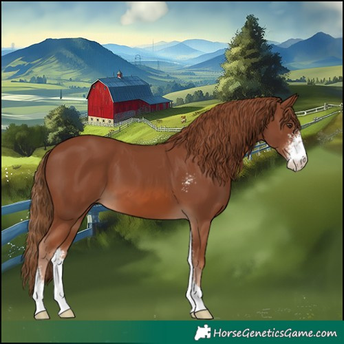 Horse Color:Chestnut Sabino