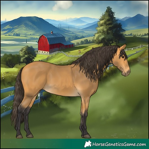 Horse Color:Buckskin 