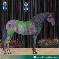 Horse Color:Nacre Black Chinchilla