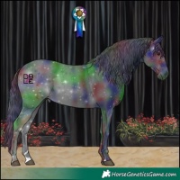 Horse Color:Nacre Black Chinchilla