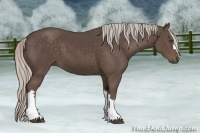 Horse Color:Silver Black 