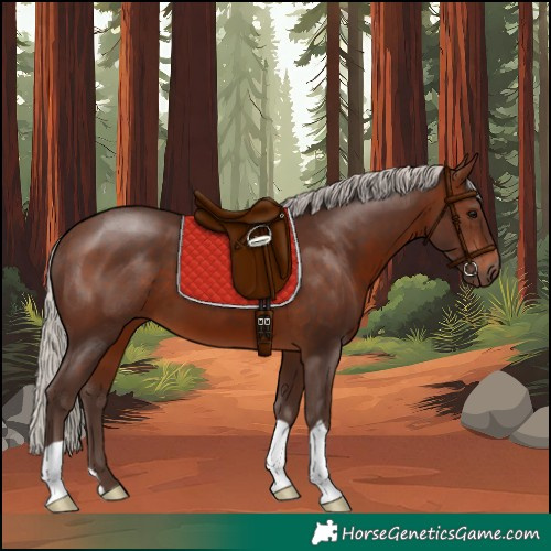 Horse Color:Silver Brown