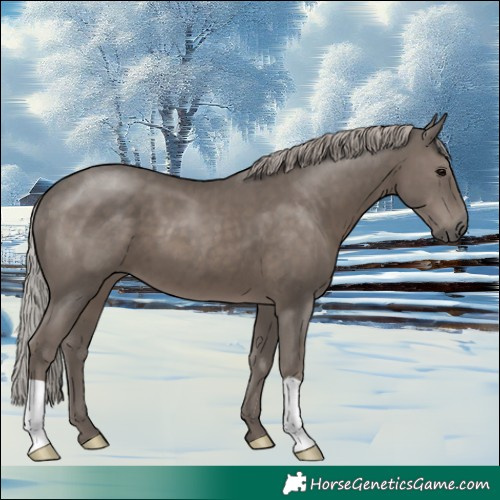 Horse Color:Silver Black 