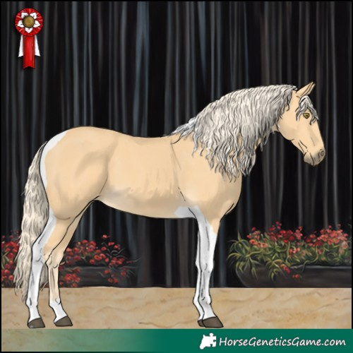 Horse Color:Palomino Tobiano 
