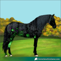 Horse Color:ERROR: UNKNOWN ANOMALY