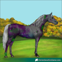 Horse Color:ERROR: UNKNOWN ANOMALY