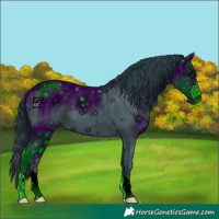 Horse Color:ERROR: UNKNOWN ANOMALY