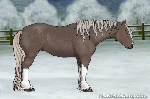 Horse Color:Silver Black 