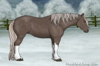 Horse Color:Silver Black 