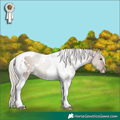 Horse Color:White Spotted Silver Grullo Tobiano 