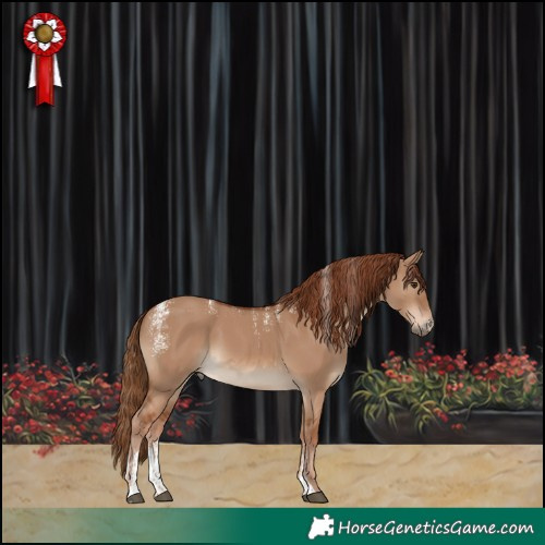 Horse Color:Powder White Red Dun 