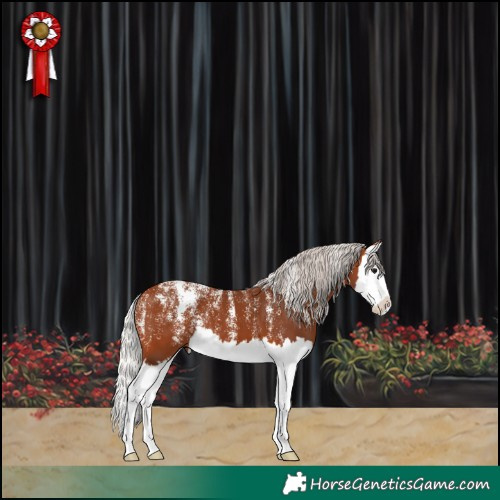 Horse Color:Powder White Silver Bay Splash 