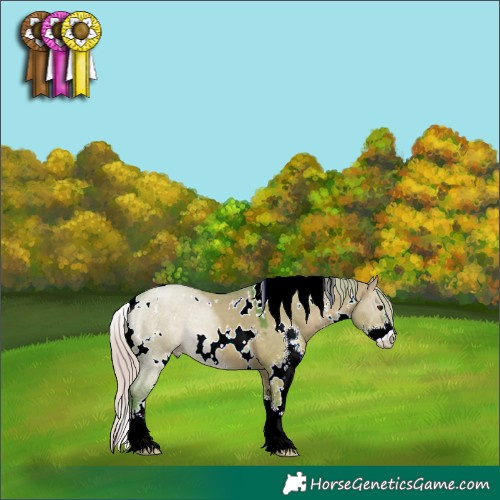Horse Color:Watercolor White Spotted Silver Brown Dun Sabino 