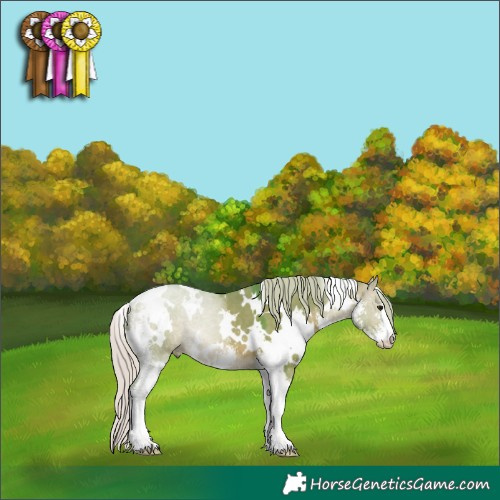 Horse Color:Watercolor White Spotted Silver Brown Dun Sabino 