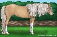 Horse Color:Silver Classic Champagne