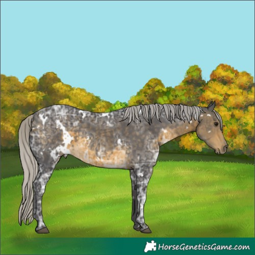 Horse Color:White Spotted Silver Buckskin Ice 
