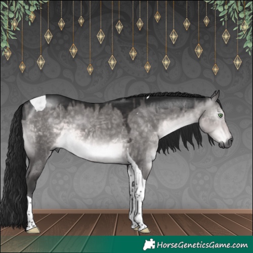 Horse Color:Gray Platinum Buckskin Dun Tobiano 